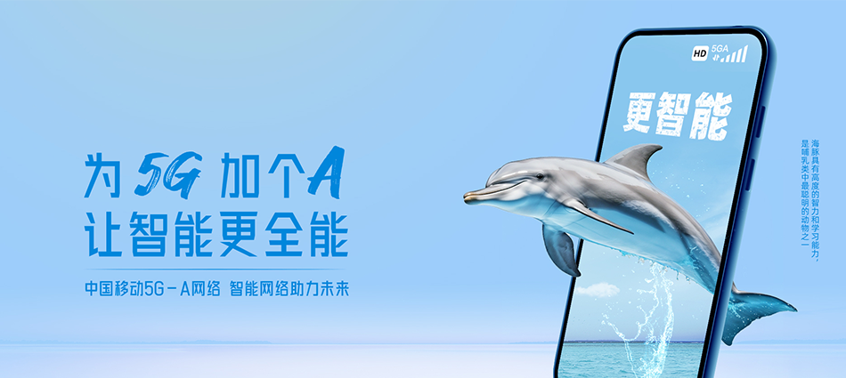 中国移动淮滨县移动宽带